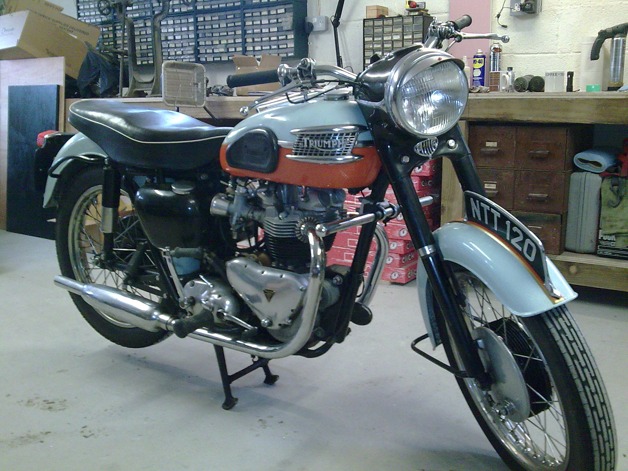 Bonnie060.jpg