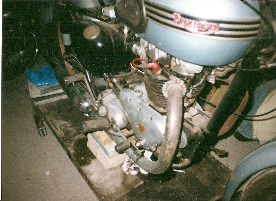 crustytigereng.jpg