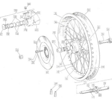 wheelwebsite.jpg